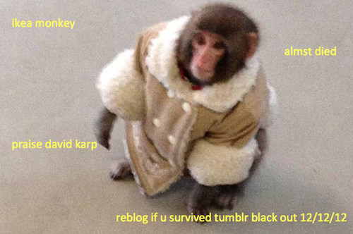 7ed.png