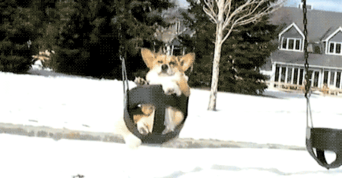 194.gif