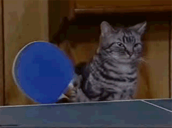 3cf.gif