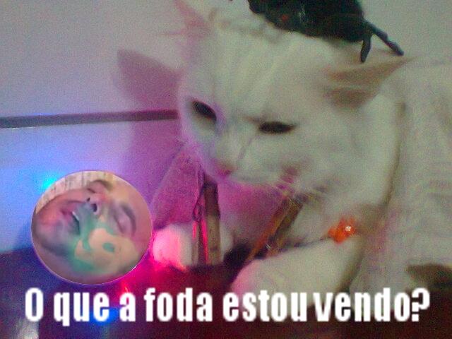 24e.jpg