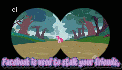 cd9.gif