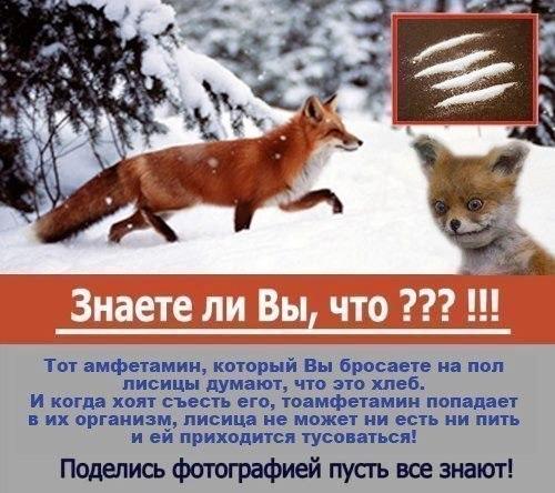 Public service announcement