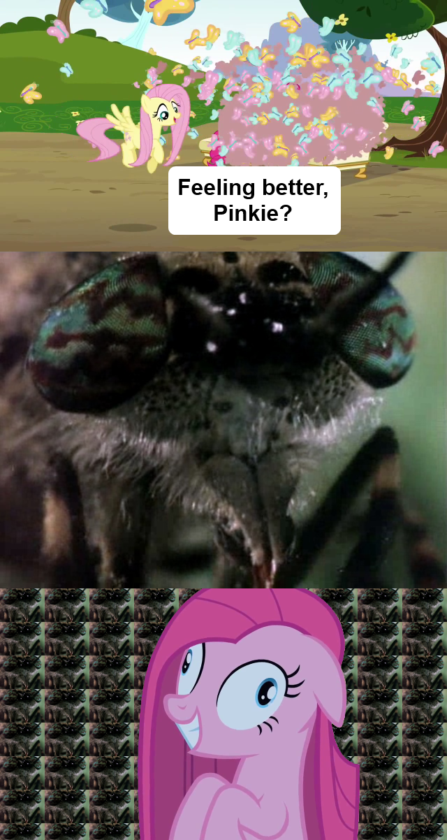e65.png