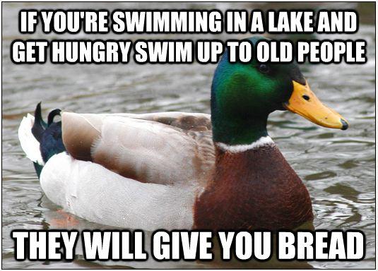 Literal advice Mallard