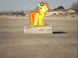 925.gif