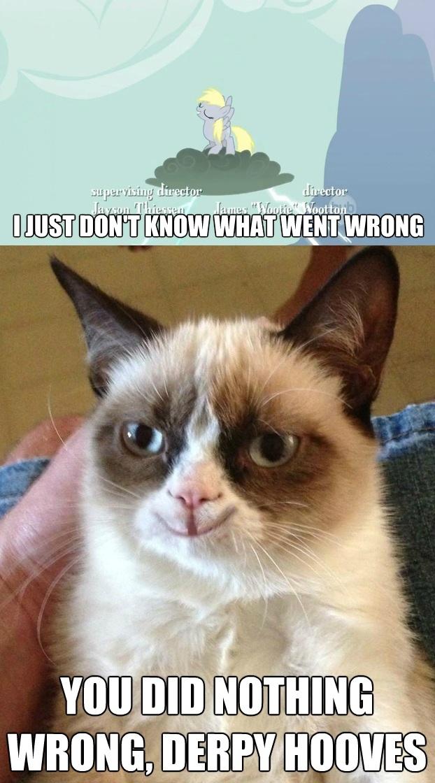 Grumpy Cat on Derpy Hooves