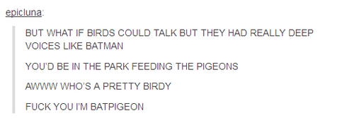 Batpidgeon