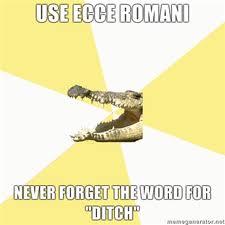 never forget Ditch