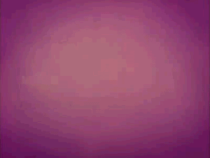 635.gif