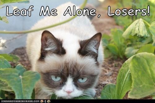 Leaf Me Alone, Losers!