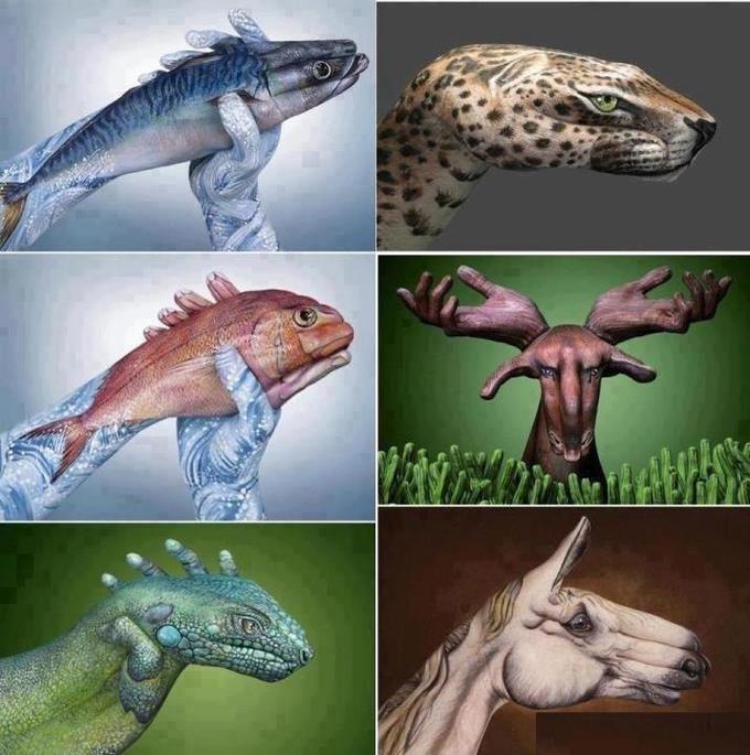 cc8.jpg