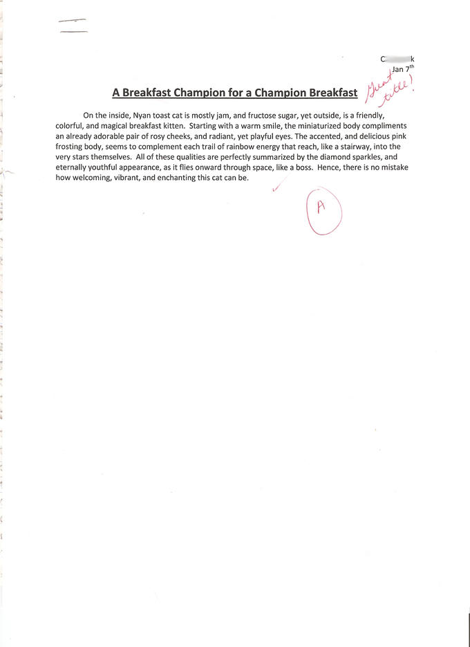 Nyan English Essay