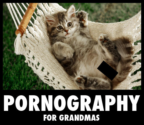 Porno cat