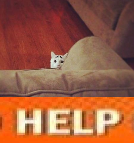 309.png