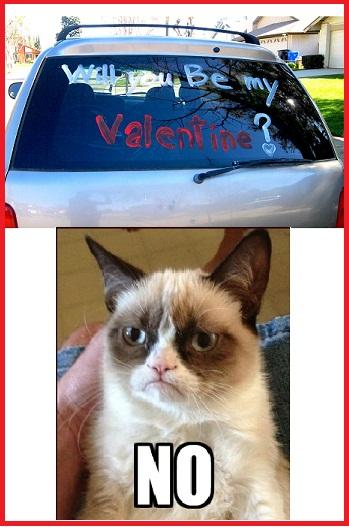 Grumpy Cat.... Will You Be My Valentine?