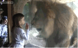 5de.gif