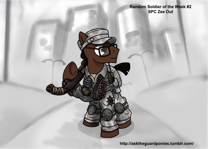 Ask the Guard Ponies