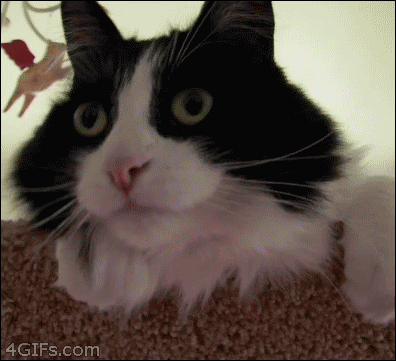 04a.gif