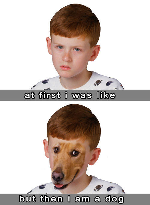581.jpg