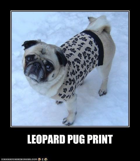 Leopard Pug Print