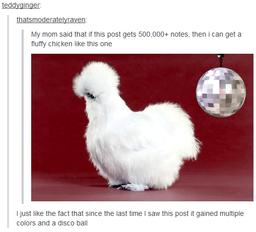 c5c.png