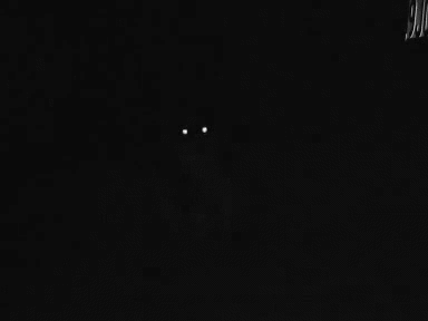 Paranormal Cativity
