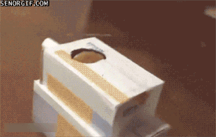 cb6.gif
