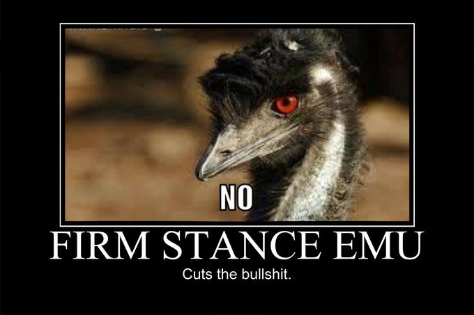 Firm Stance Emu