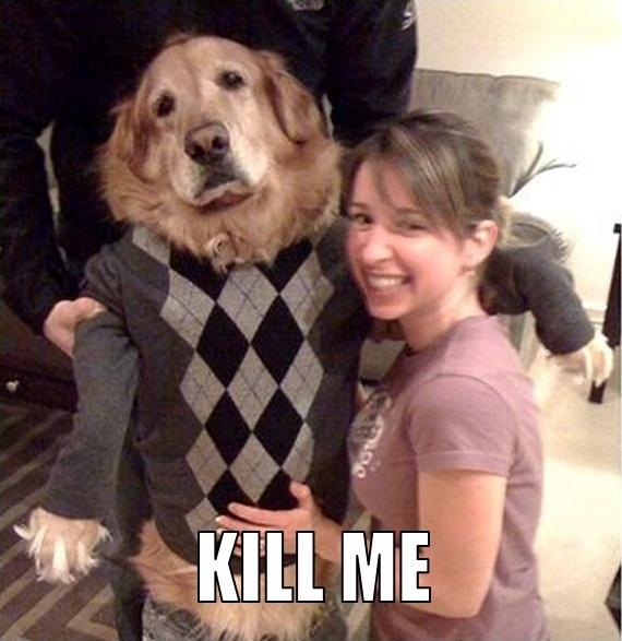 KILL ME Dog