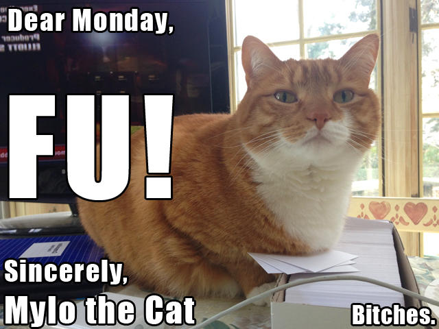 My Thoughts on Mondays