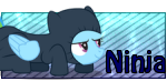 d16.png