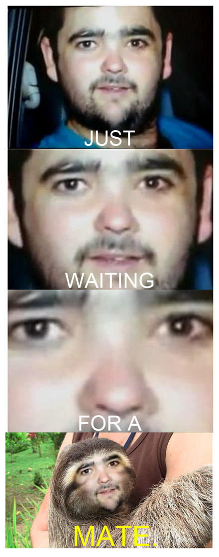 just waiting for a mate, mate