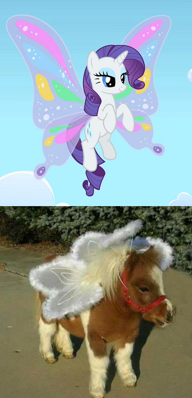e98.png