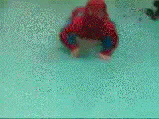 260.gif