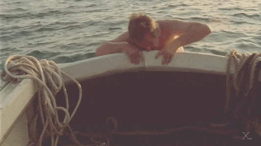 292.gif