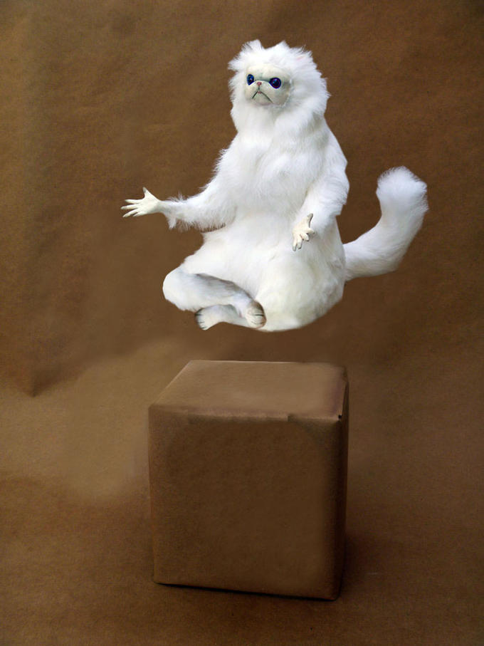 white taxidermy cat meme