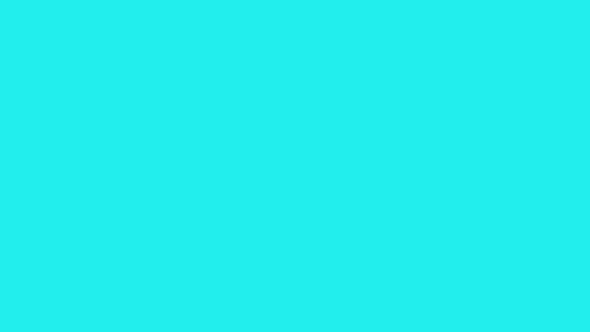 865.gif
