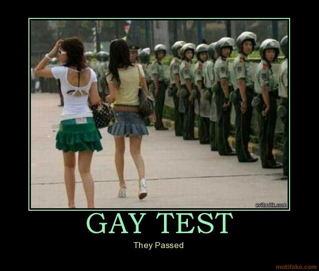 are you gay test meme