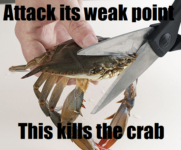 [Image 114767] This Kills The Crab Know Your Meme