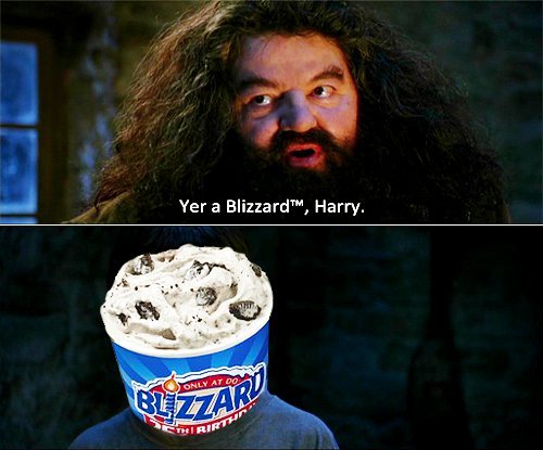 You Are A Wizard Harry Meme