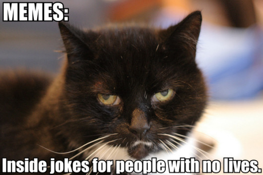 memes_inside_jokes_for_people_with_no_lives_trollcat.jpg