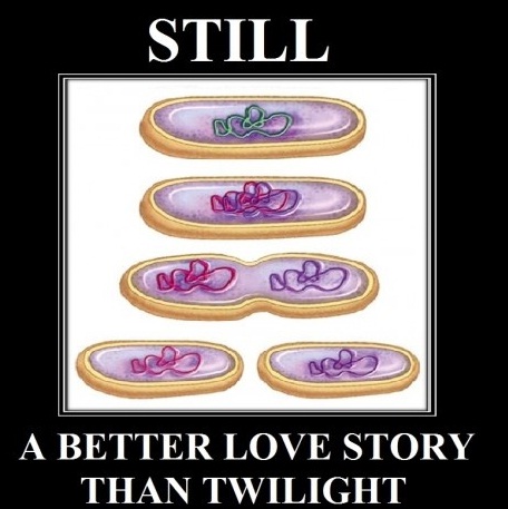 still-a-better-love-story-than-twilight-