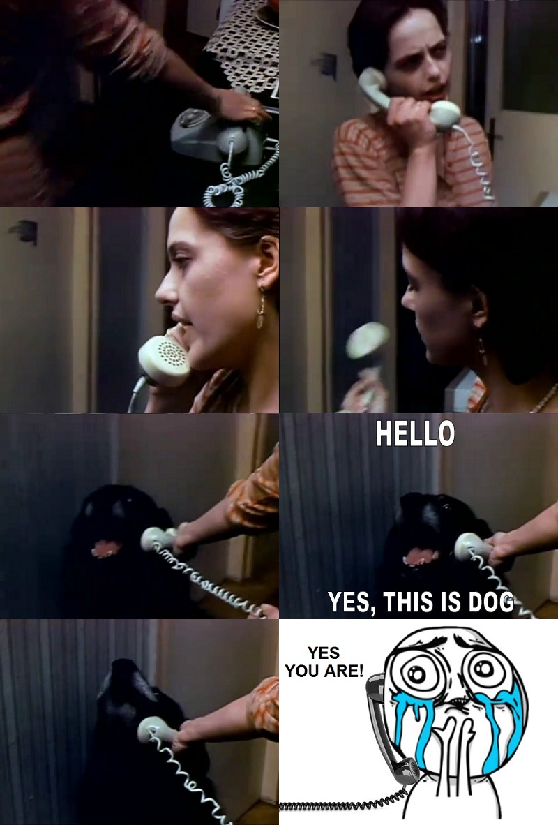 yes this is image 260309 yes this is your meme yes this is image 260309 yes this is your meme