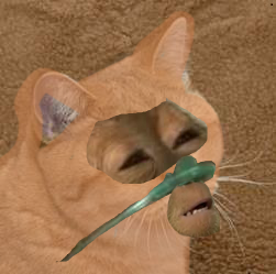 d83.png