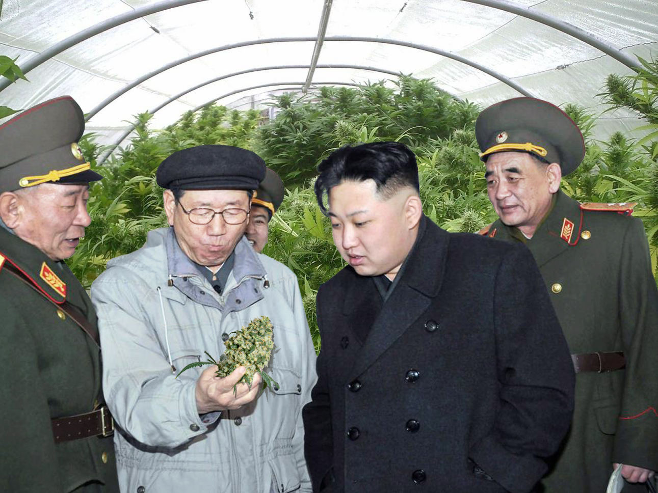 korean bros