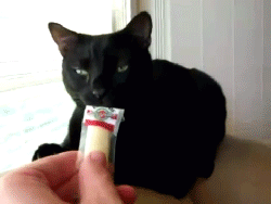 705.gif