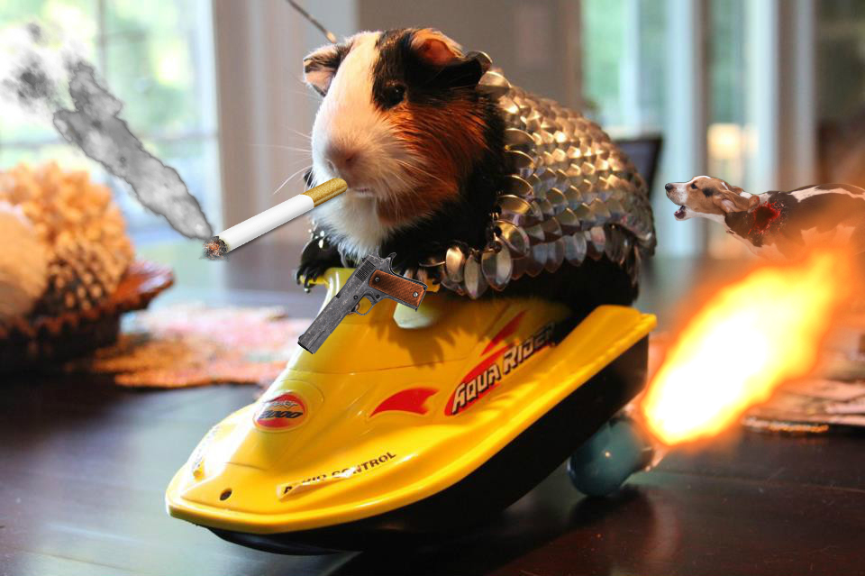 [Image - 563126] | Guinea Pig Armor Charity Auction | Know Your Meme