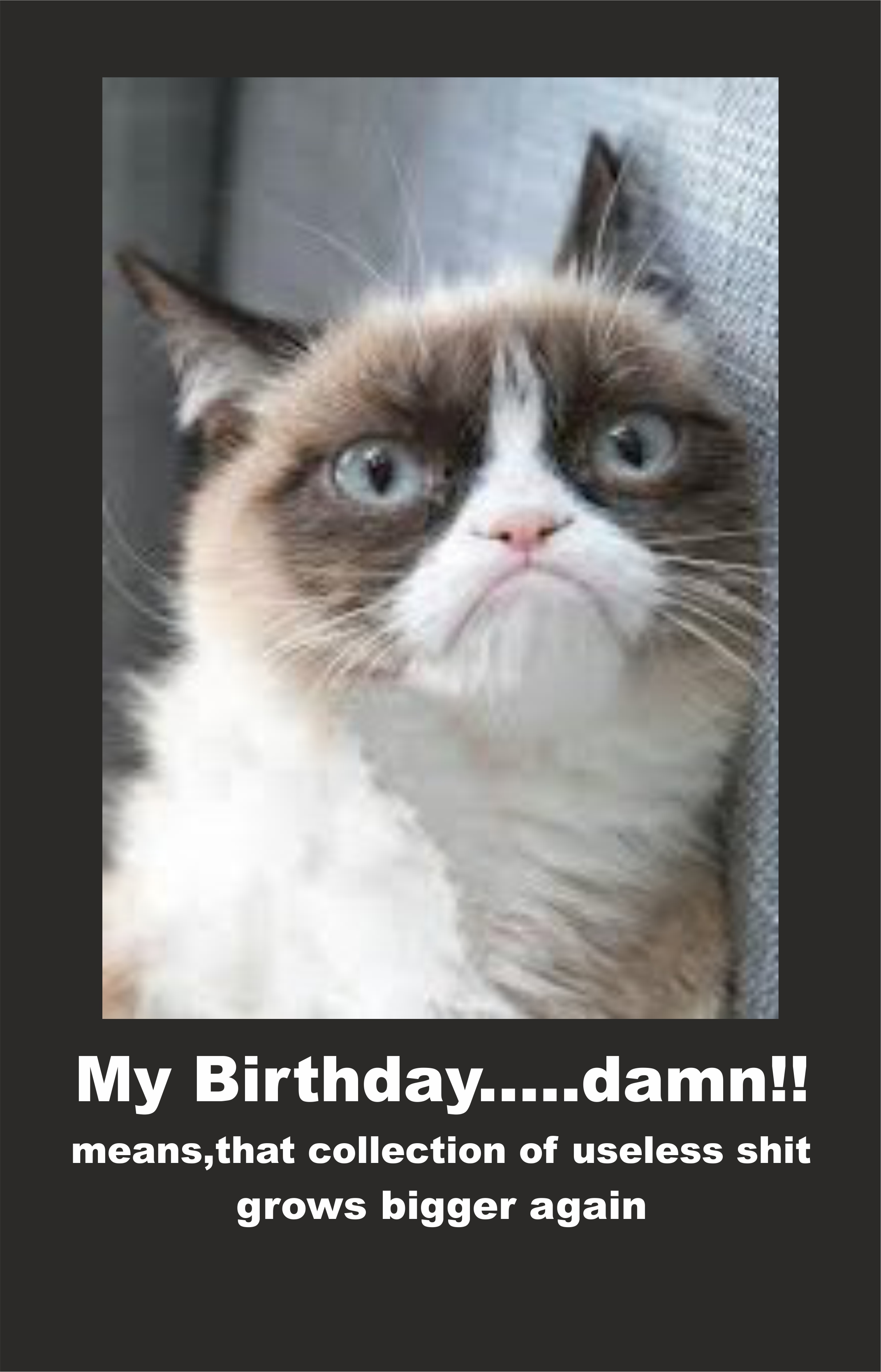 Grumpy Cat -Ima...