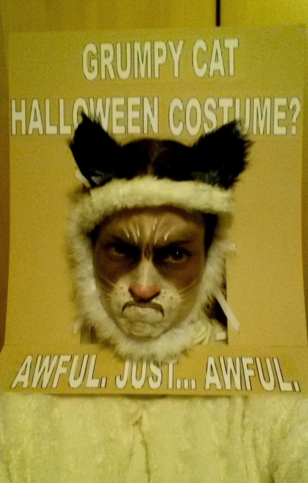grumpy cat halloween grumpy cat halloween