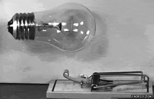 bb2.gif